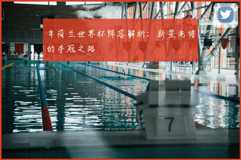 年荷兰世界杯阵容解析：新星老将的夺冠之路